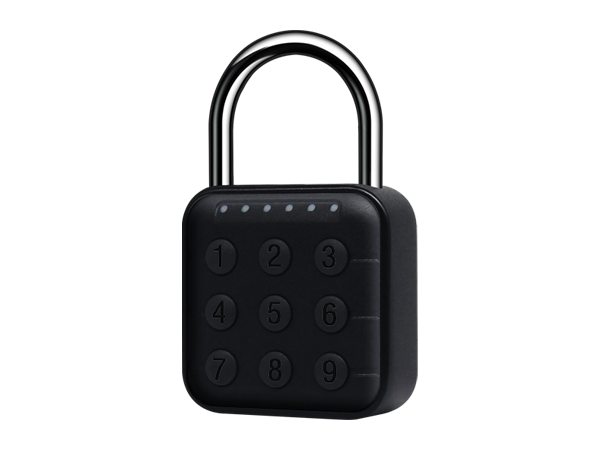 SecuKey D10-BT Smart Padlock with Password