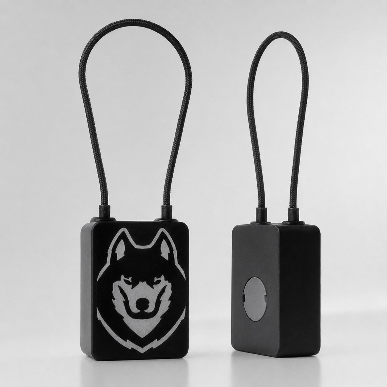 Smart Biometric Cable lock